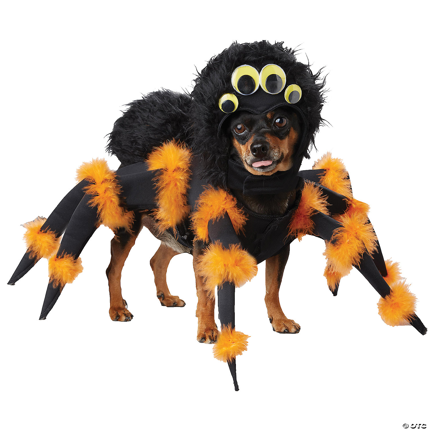 PET SPIDER COSTUME - HALLOWEEN