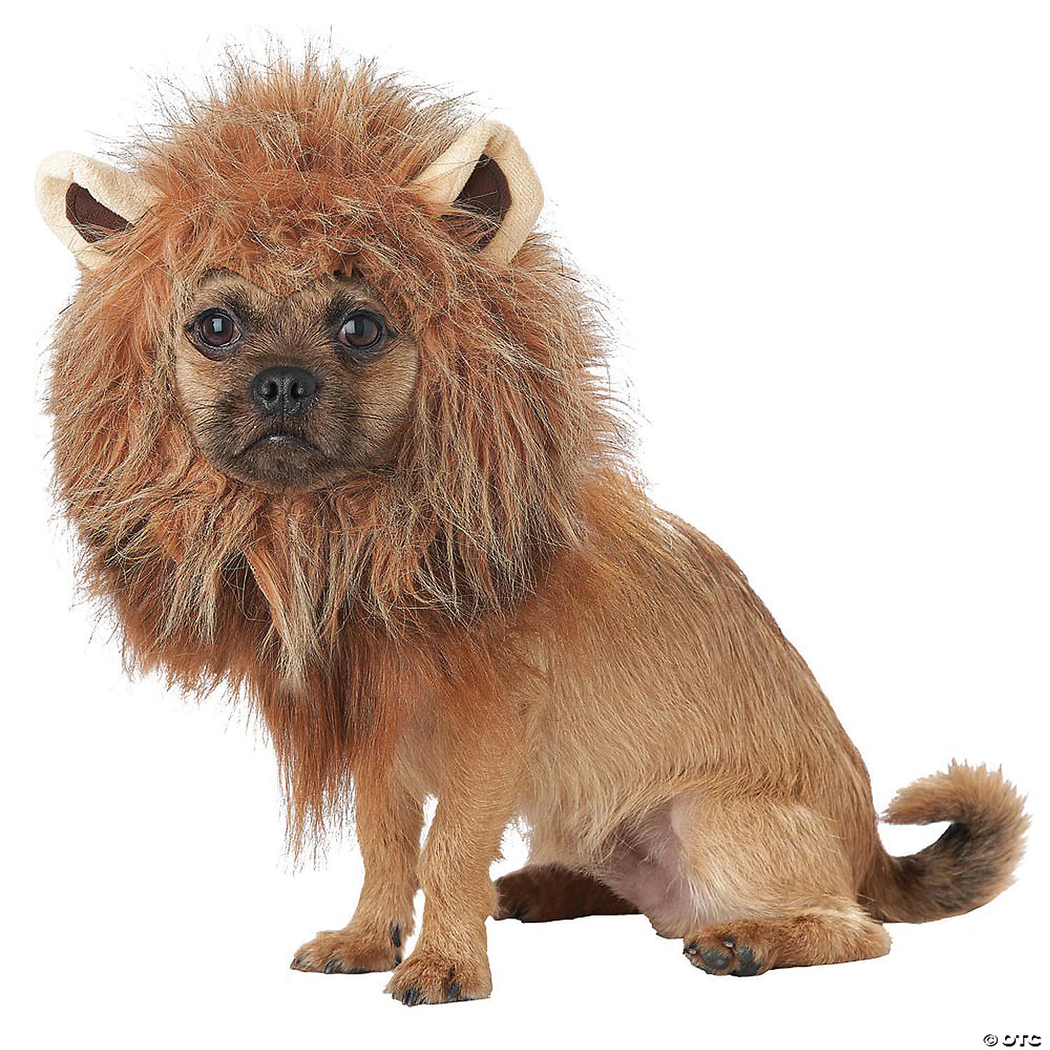 KING OF JUNGLE DOG COSTUME LG - HALLOWEEN