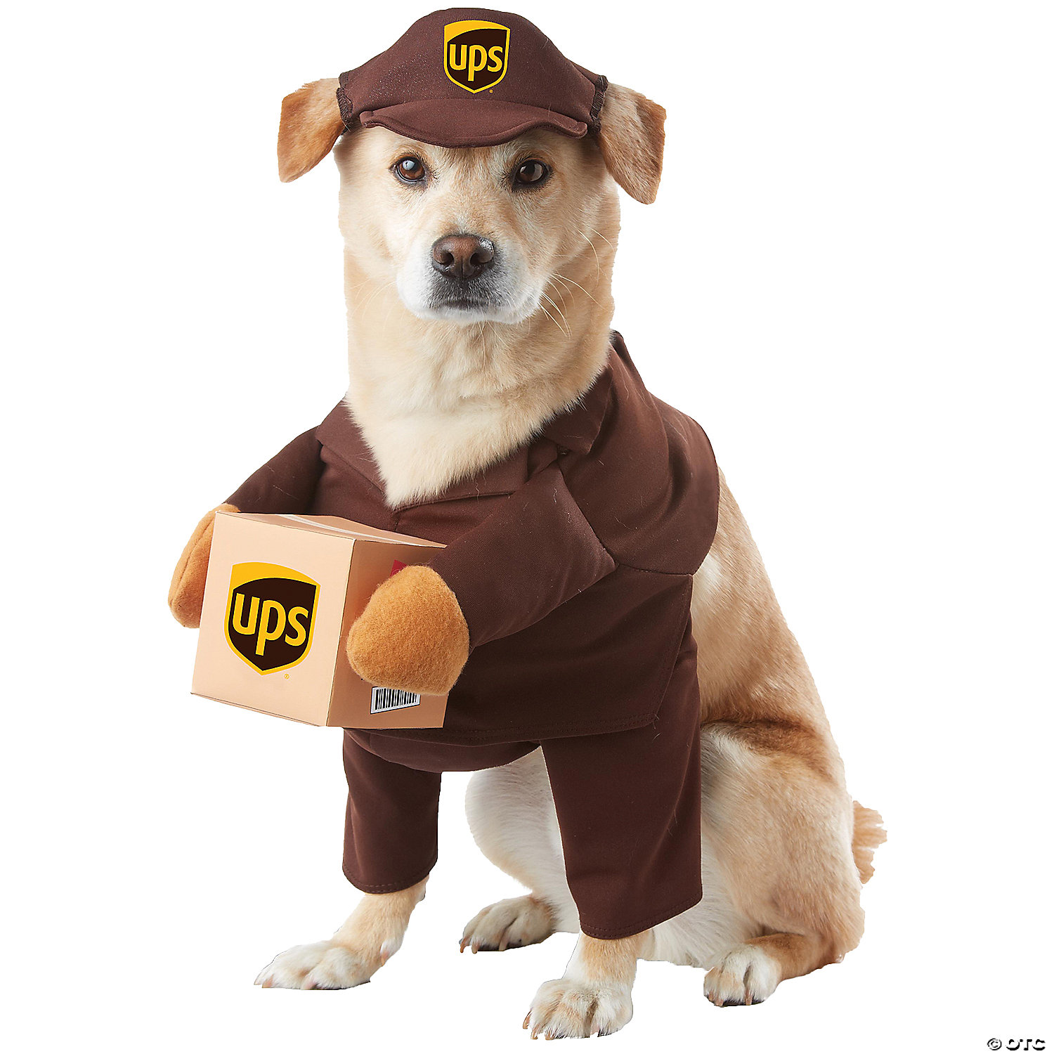 PET UPS PAL COSTUME MD - HALLOWEEN