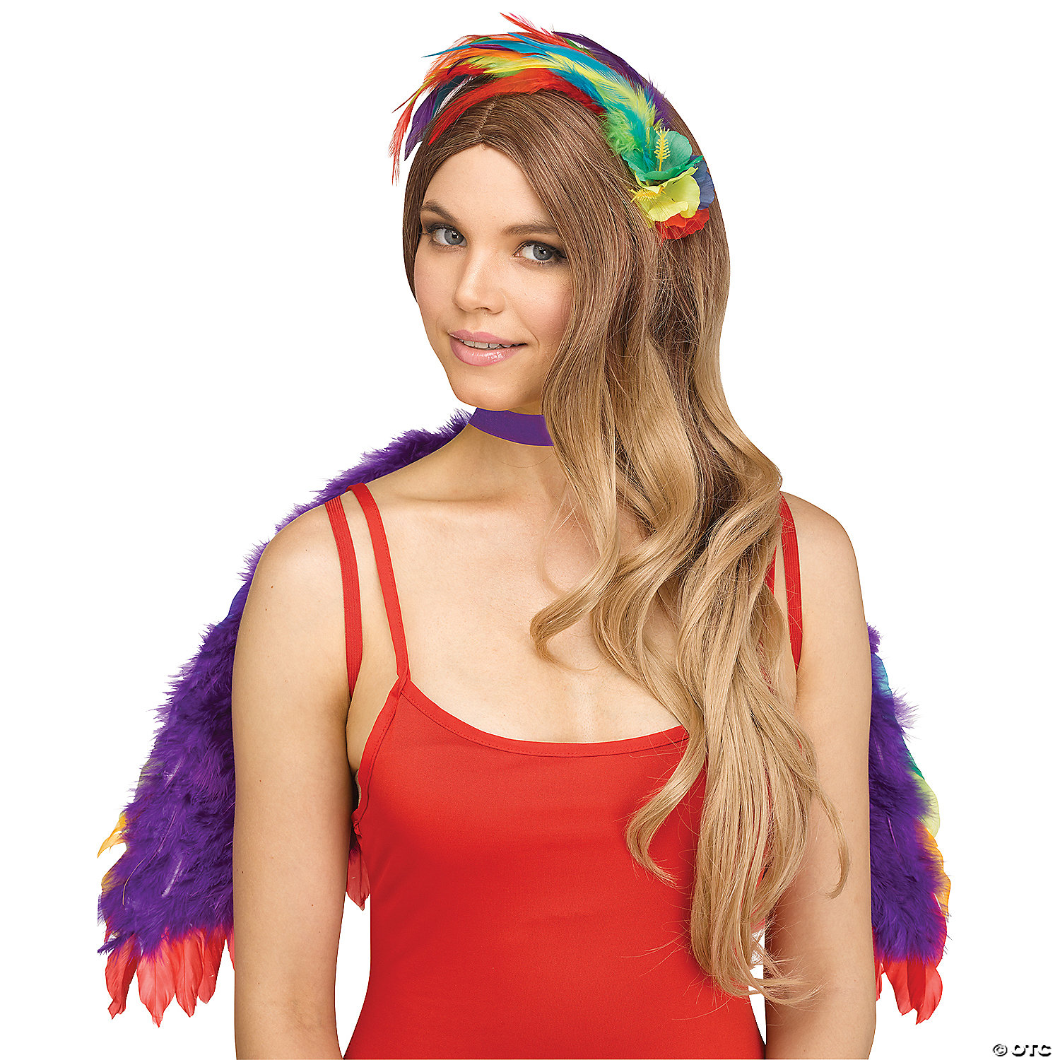 BIRDS OF A FEATHER COSTUME KIT - HALLOWEEN