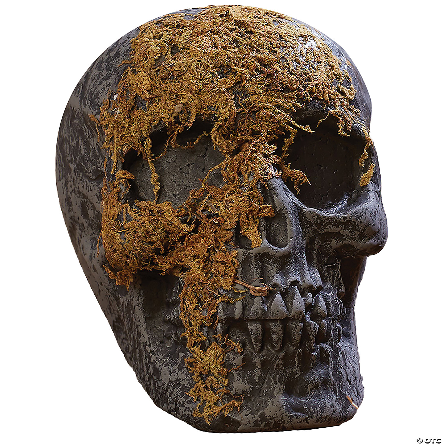 SKULL MOSS COVERED WITH JAW - HALLOWEEN
