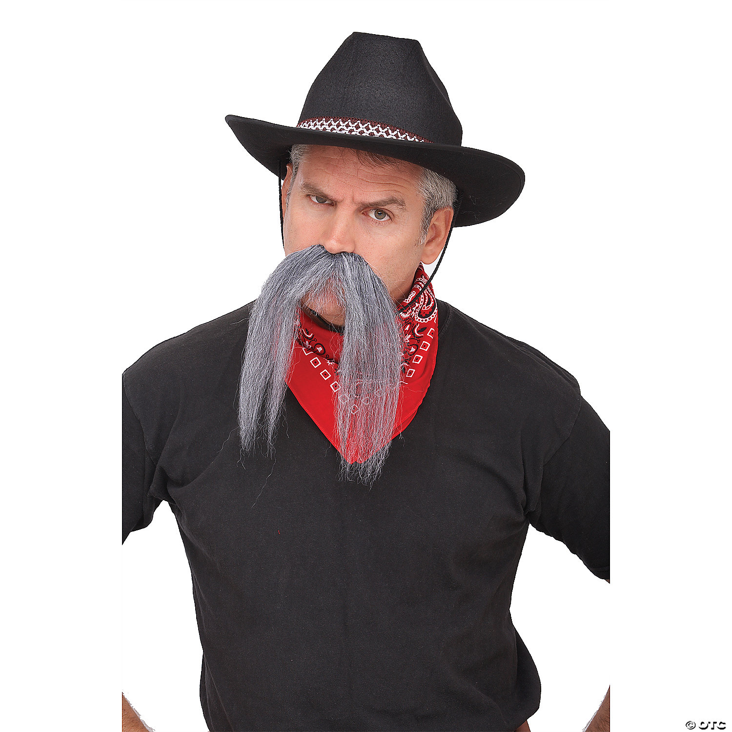 GRAY WESTERN MUSTACHE - HALLOWEEN